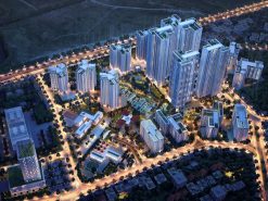 Lovera Vista Khang Điền ảnh 3