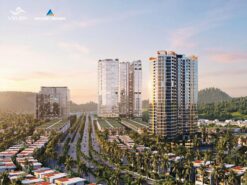 VÂN BAY VÂN ĐỒN ảnh 3